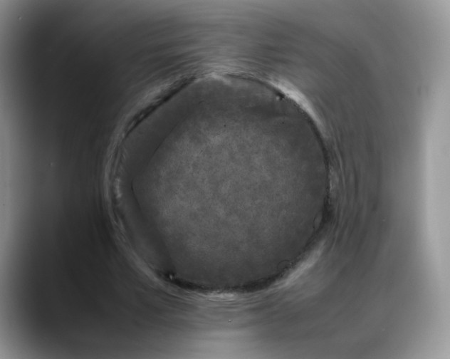 X0000088700581200706141432