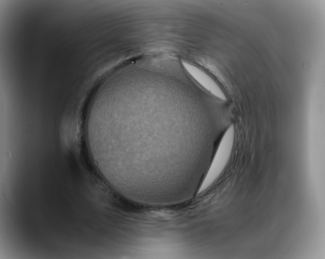 X0000088700583200706141432