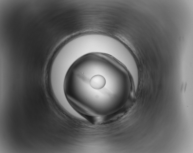 X0000088700584200706141432