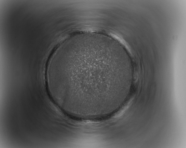 X0000088700585200706141432