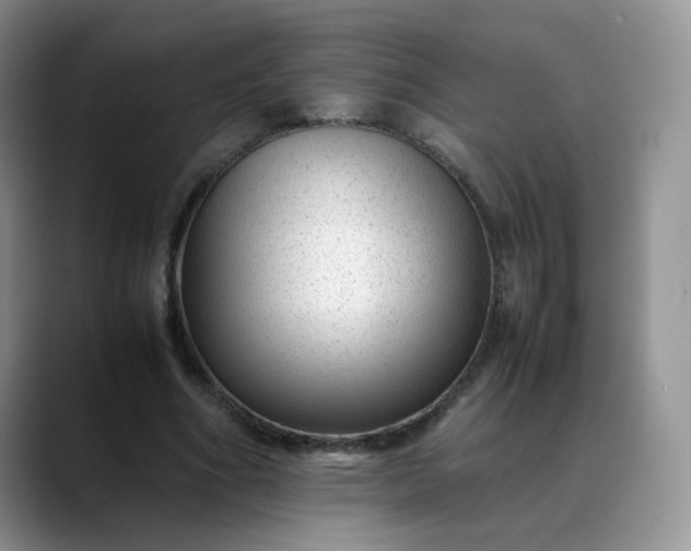 X0000088700586200706141432