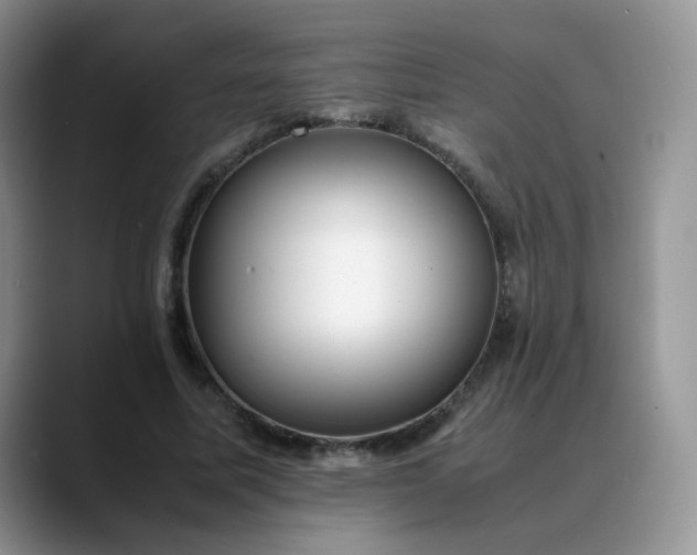 X0000088700587200706141432