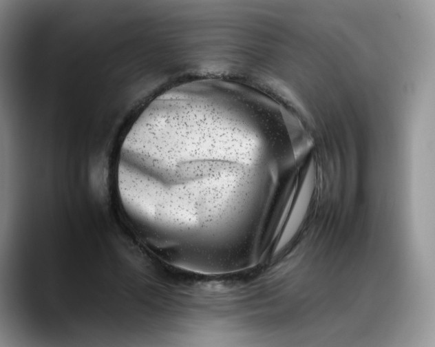 X0000088700588200706141432