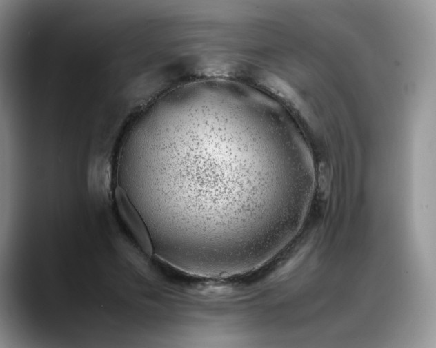 X0000088700589200706141432