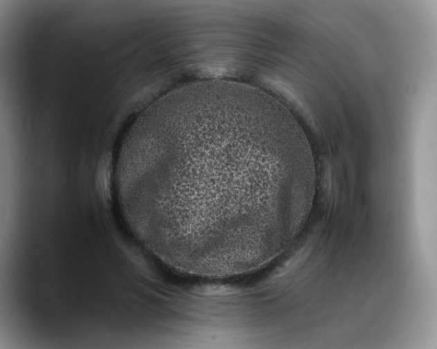 X0000088700590200706141431