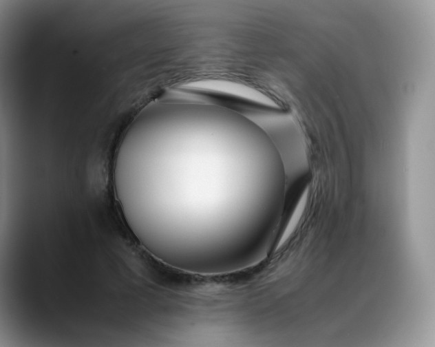 X0000088700593200706141431