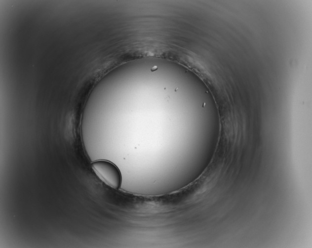 X0000088700594200706141431