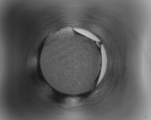 X0000088700595200706141431