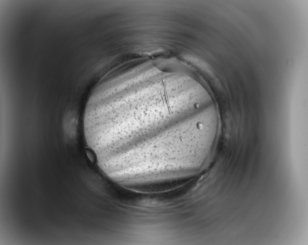 X0000088700596200706141431