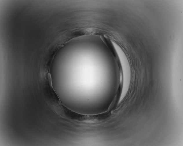 X0000088700601200706141431