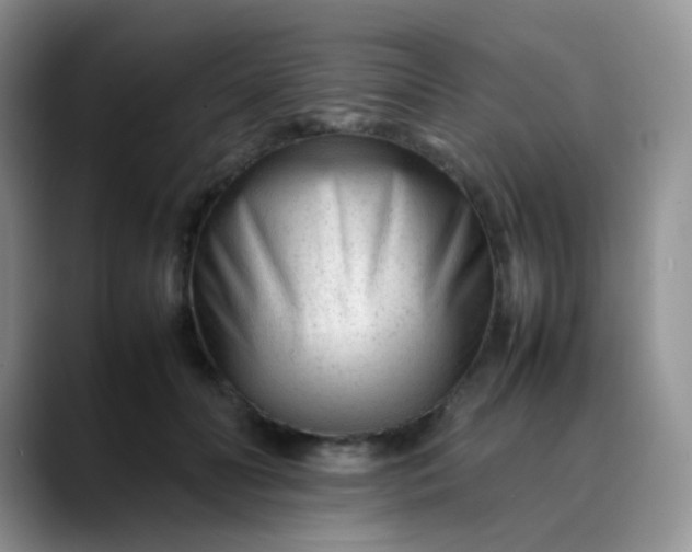 X0000088700606200706141431