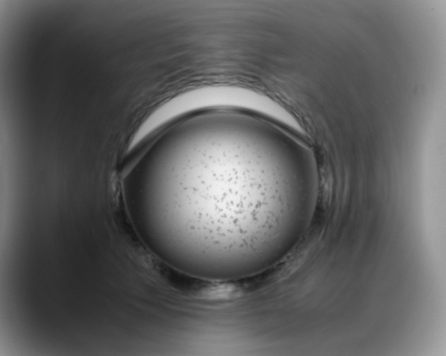 X0000088700609200706141431