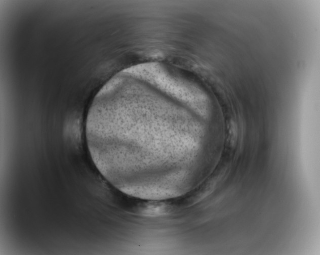 X0000088700612200706141431