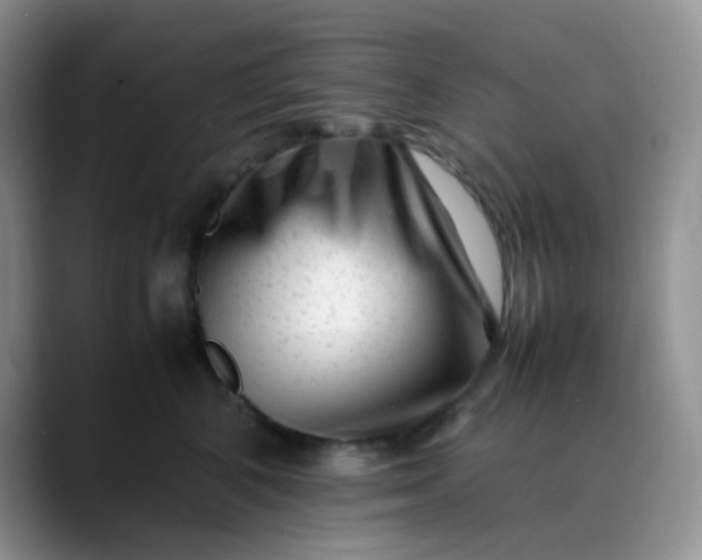 X0000088700616200706141431