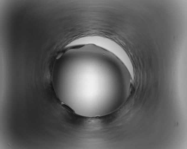 X0000088700617200706141431