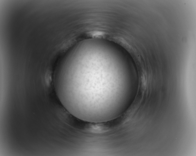 X0000088700618200706141431