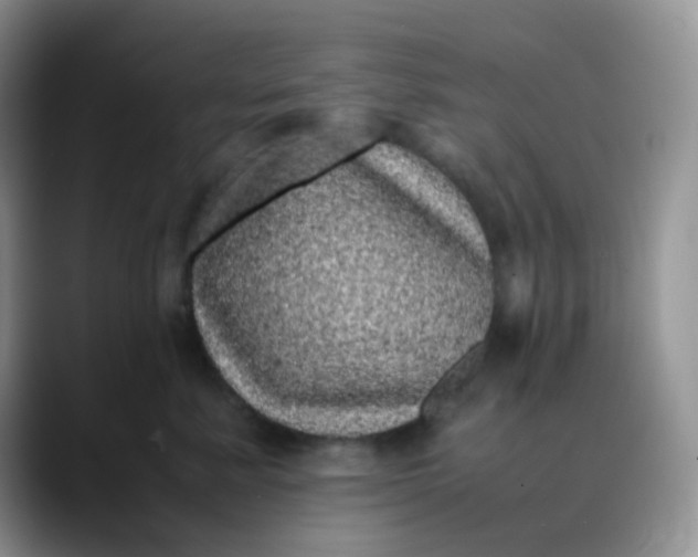 X0000088700619200706141431