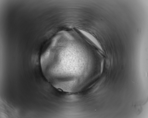 X0000088700620200706141431