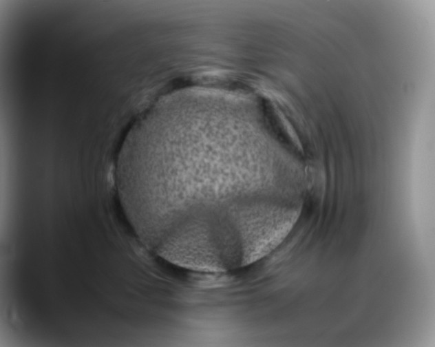 X0000088700621200706141431