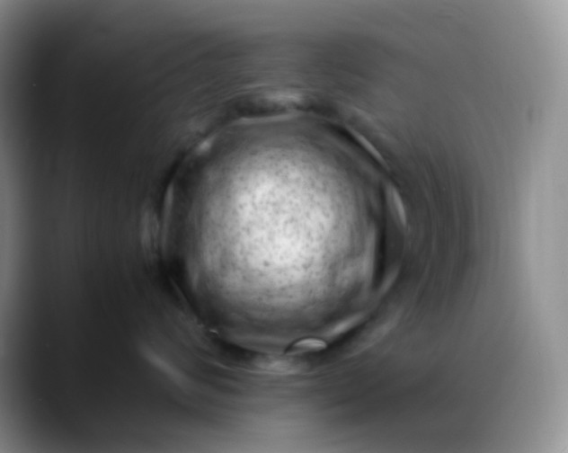 X0000088700624200706141431