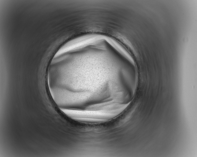 X0000088700625200706141431