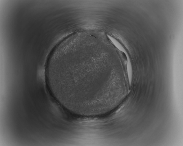 X0000088700626200706141431