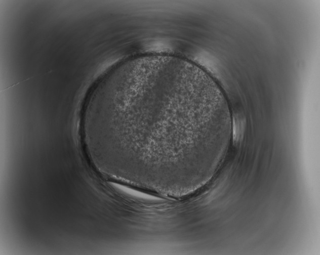 X0000088700627200706141431