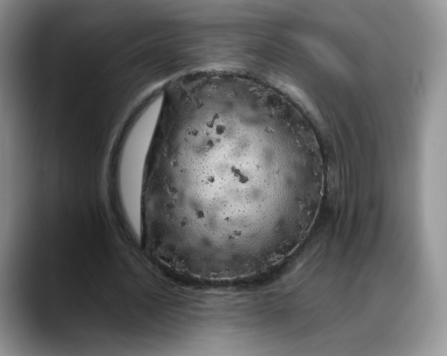 X0000088700628200706141431