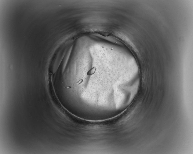 X0000088700629200706141431
