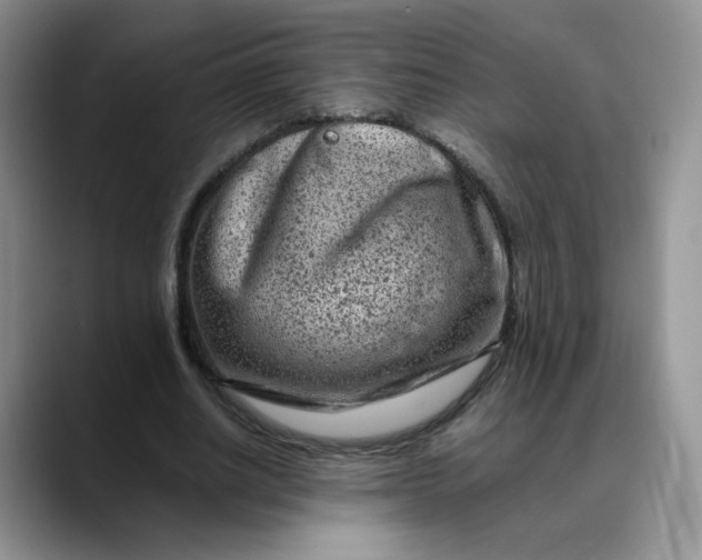 X0000088700630200706141431