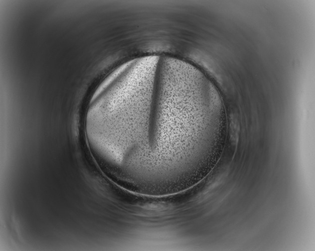 X0000088700631200706141431