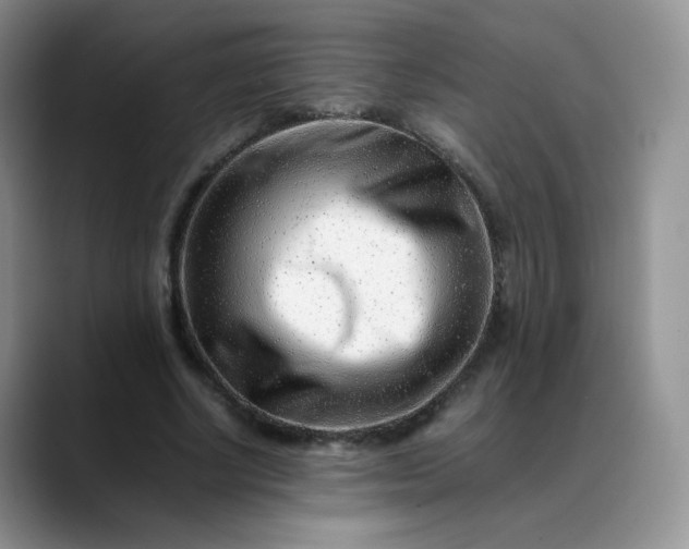 X0000088700634200706141431