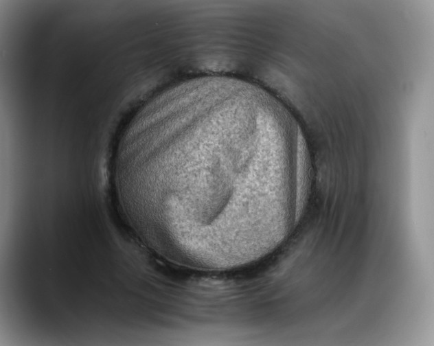 X0000088700635200706141431