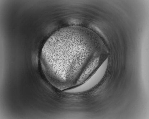 X0000088700637200706141431