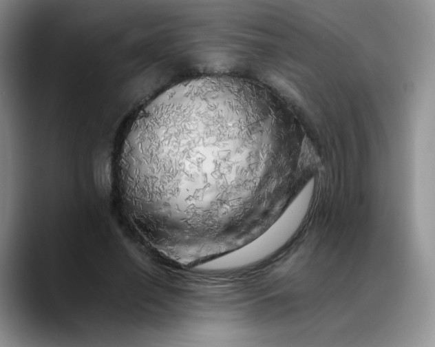 X0000088700638200706141431