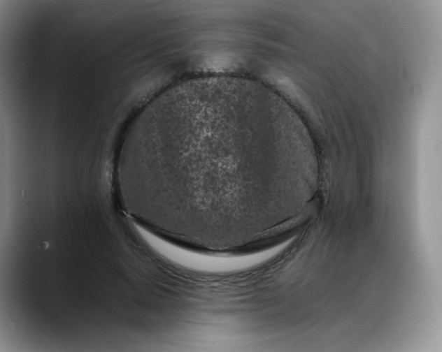 X0000088700640200706141431