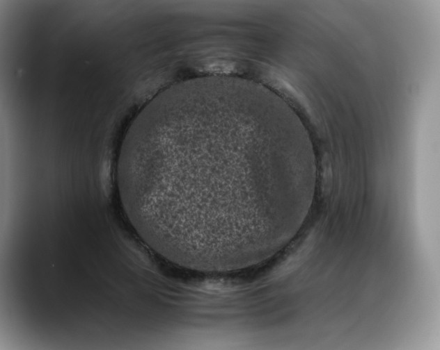 X0000088700641200706141431