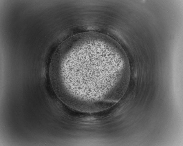 X0000088700643200706141431
