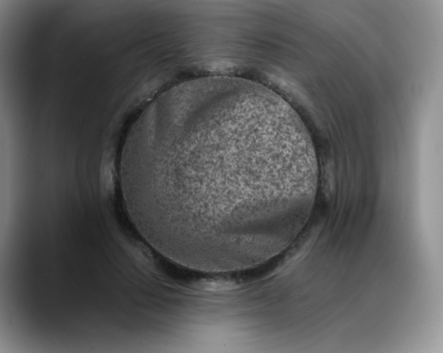 X0000088700644200706141431