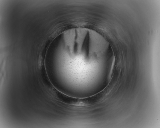 X0000088700647200706141431