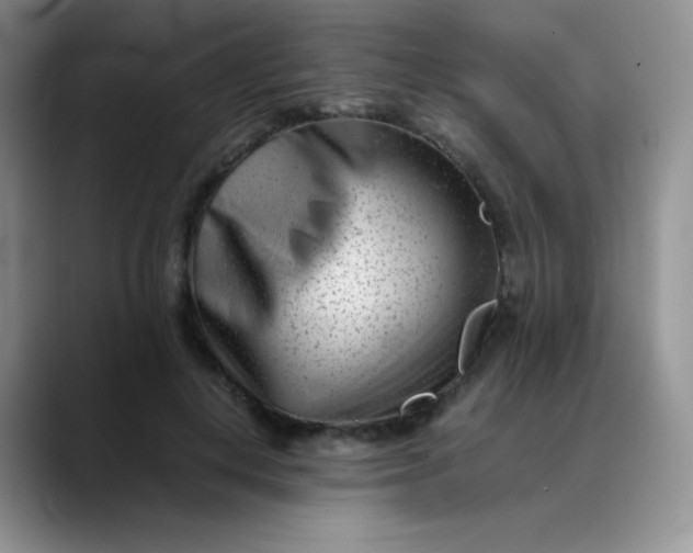 X0000088700648200706141431