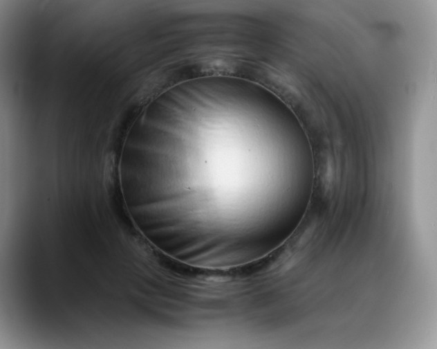 X0000088700649200706141431