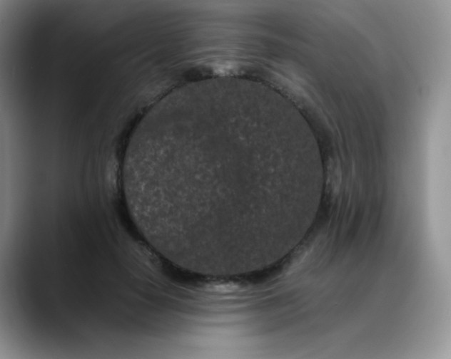 X0000088700650200706141431