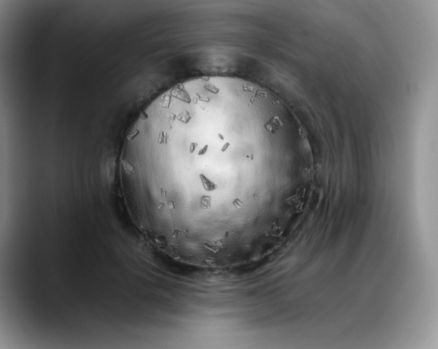 X0000088700652200706141431