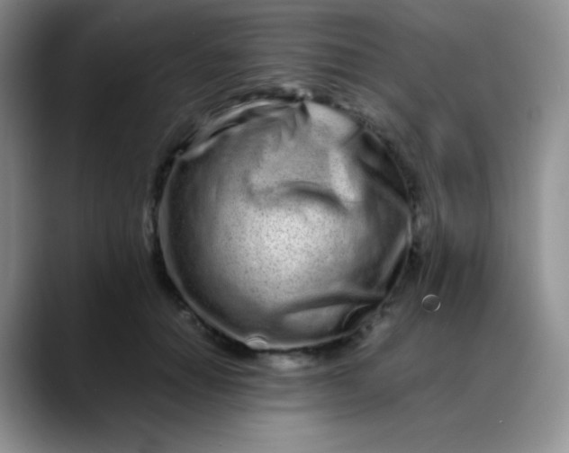 X0000088700654200706141431