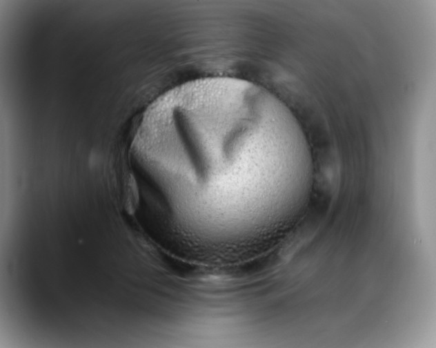 X0000088700658200706141431