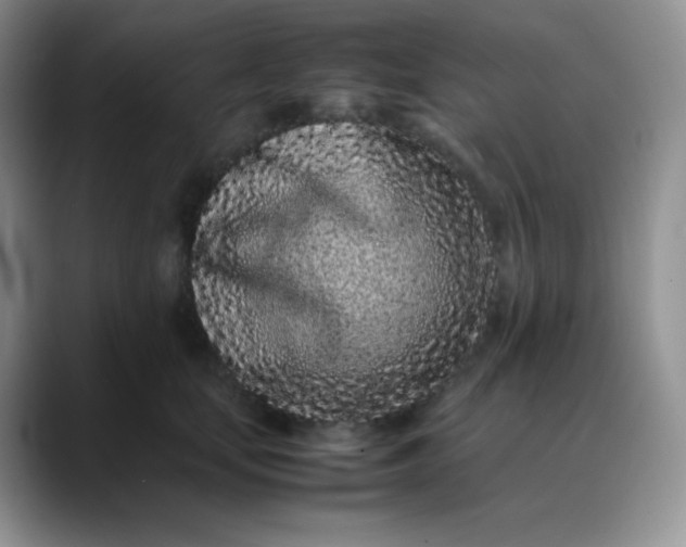 X0000088700659200706141431