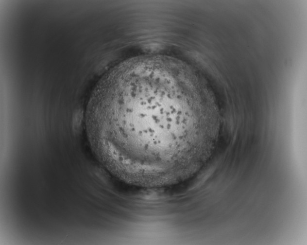 X0000088700660200706141431