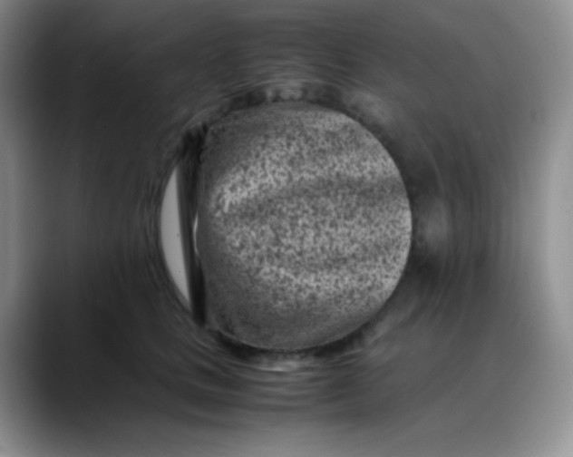 X0000088700661200706141431