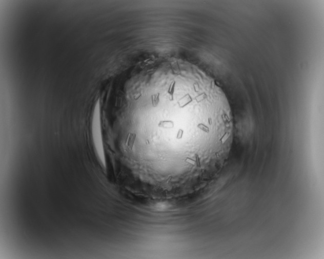 X0000088700662200706141431